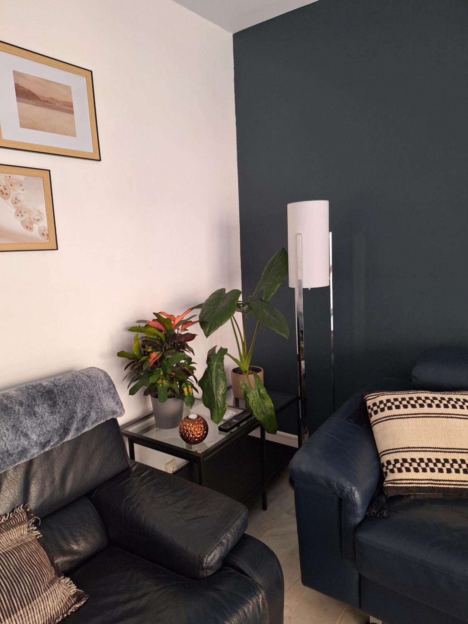 Appartement T3 Plein Centre Saint-Raphael  Bagian luar foto
